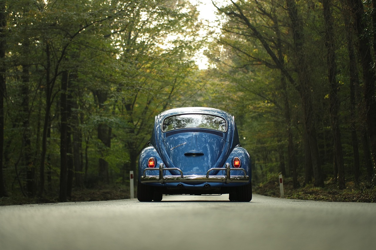 A vintage blue Volkswagen Beetle parked on a quiet forest road, framed by lush green trees, highlighting its classic design and natural setting.