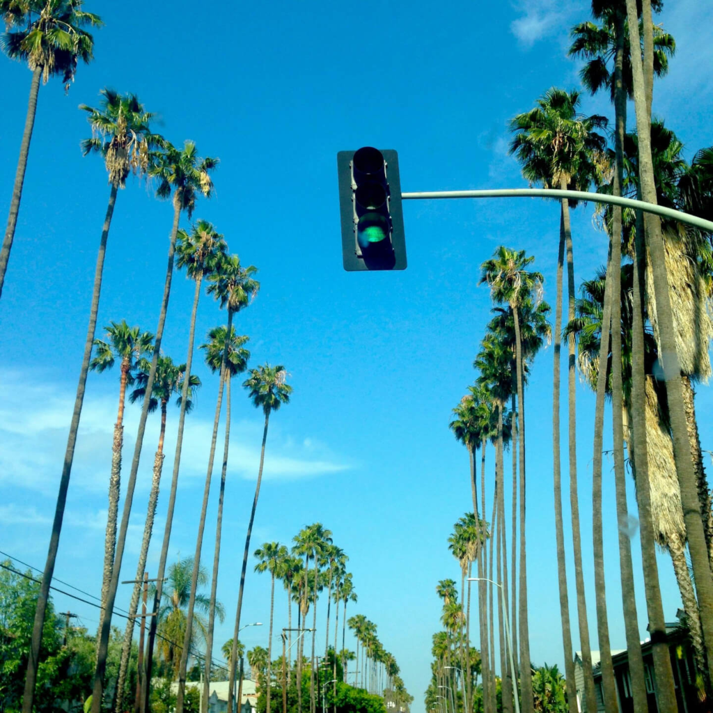 Green traffic light above a picturesque palm-lined street under a clear blue sky, capturing a vibrant urban landscape.